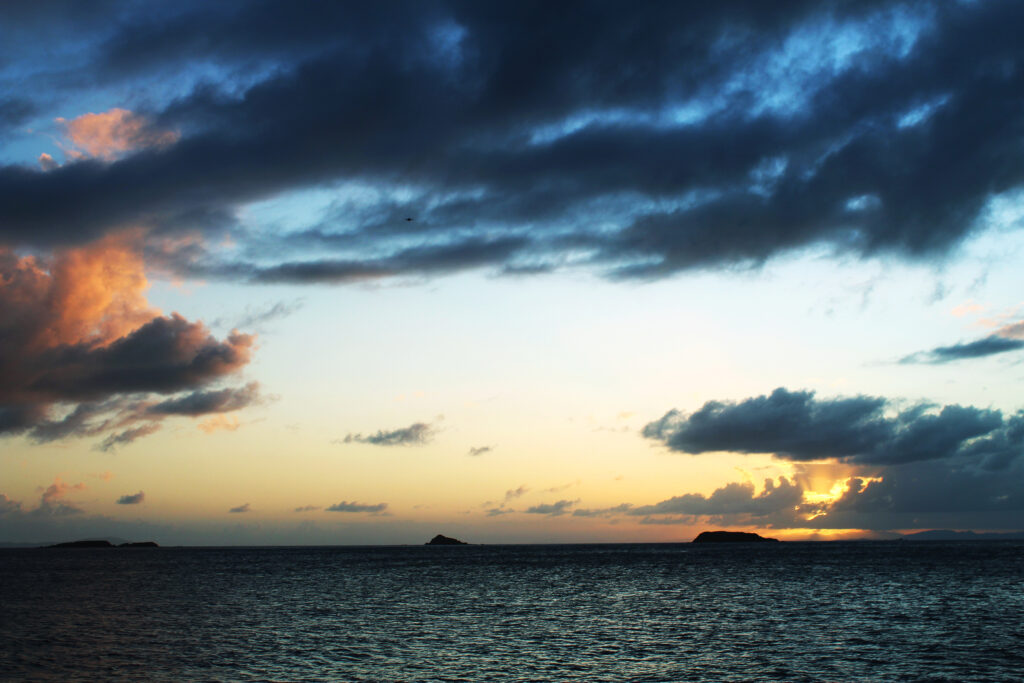 Professional Photography in New York